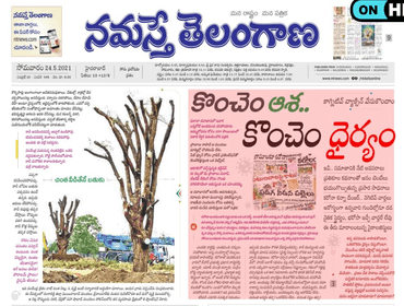 Hyderabad Leads Large-Scale Tree Transplantation