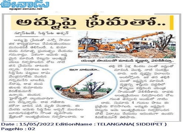 9,000+ Trees Transplanted Successfully