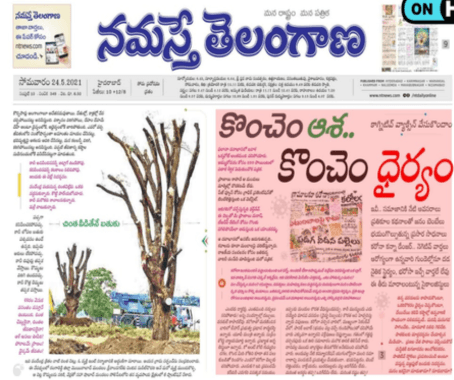 Trees transplanted by Balakrishna Associates