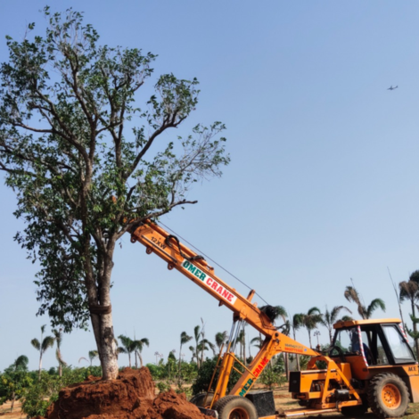 Tree Transplantation