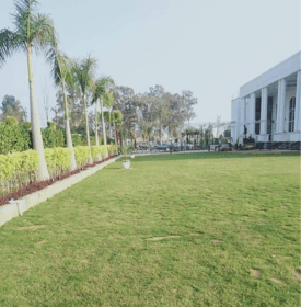 Landscape design project